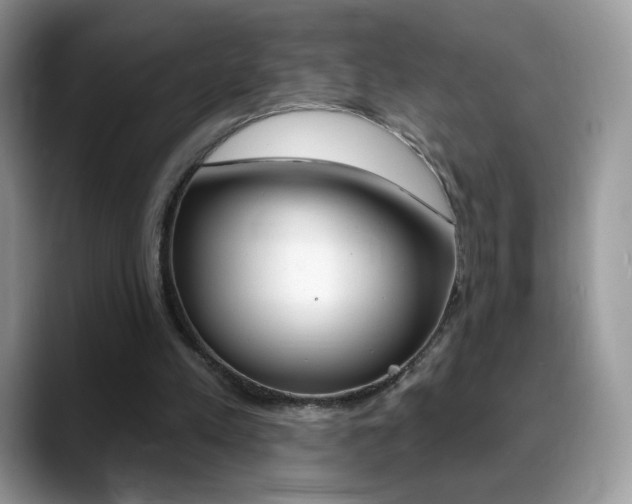 X0000088900197200706080833