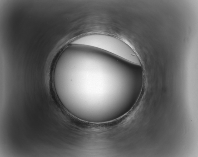 X0000088900199200706080833