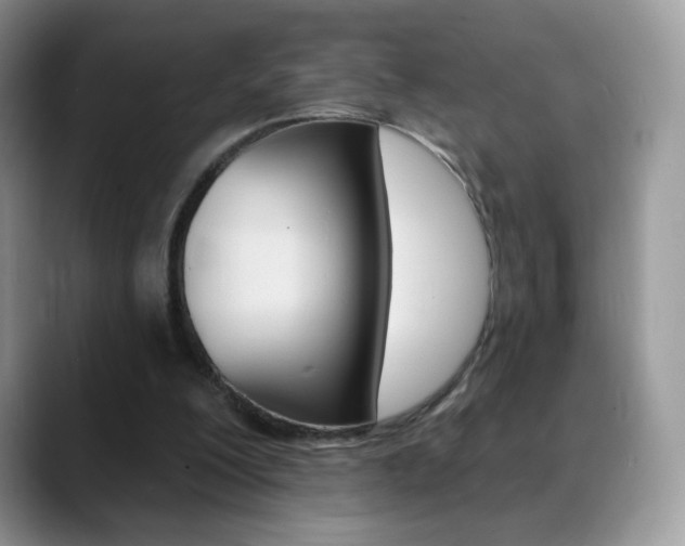 X0000088900200200706080833