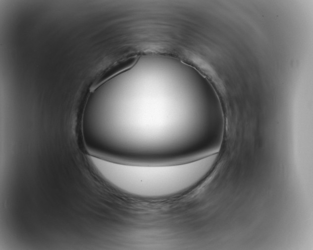 X0000088900201200706080833