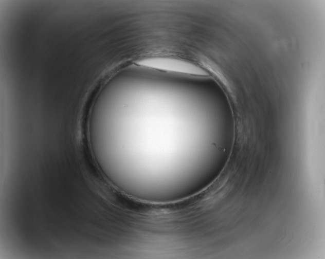 X0000088900203200706080833