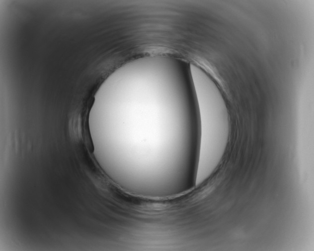 X0000088900205200706080833
