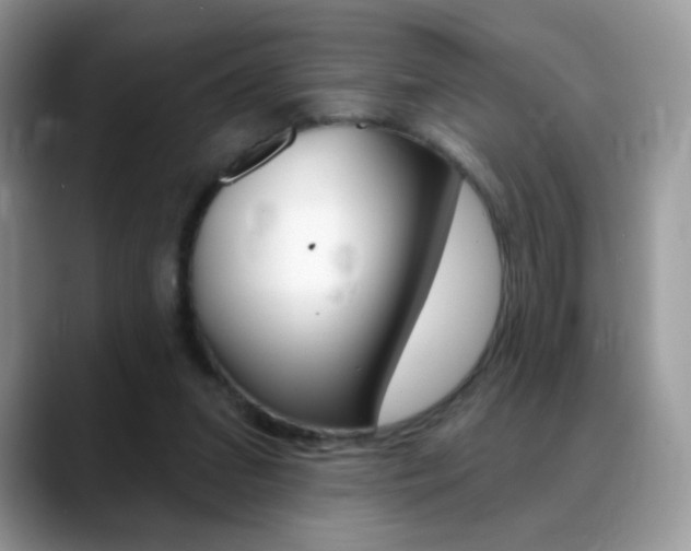 X0000088900207200706080833