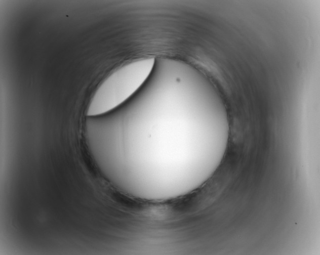 X0000088900210200706080833
