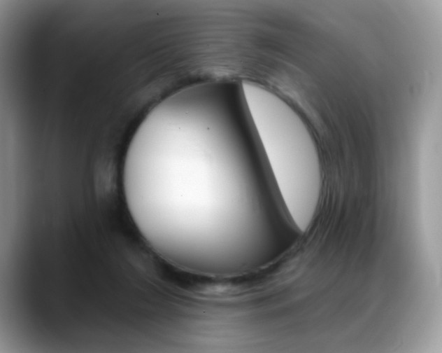 X0000088900212200706080833