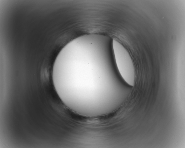 X0000088900214200706080833
