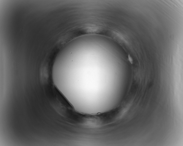 X0000088900215200706080833