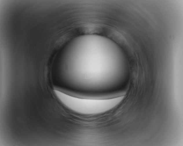 X0000088900219200706080833