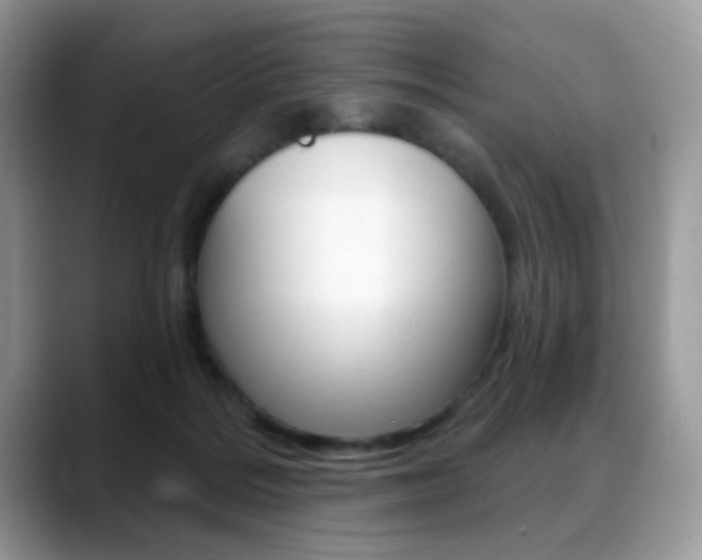 X0000088900220200706080833