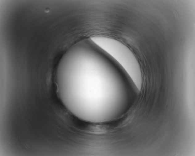X0000088900221200706080833