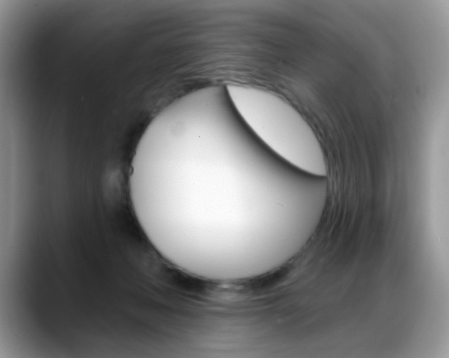 X0000088900222200706080833