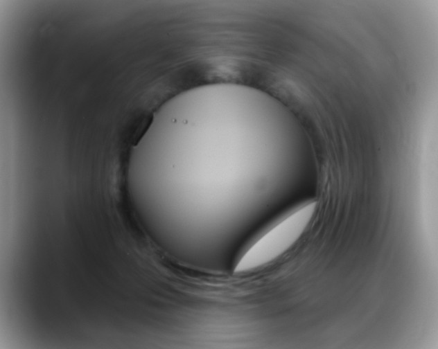 X0000088900223200706080833