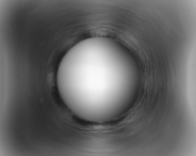 X0000088900224200706080833
