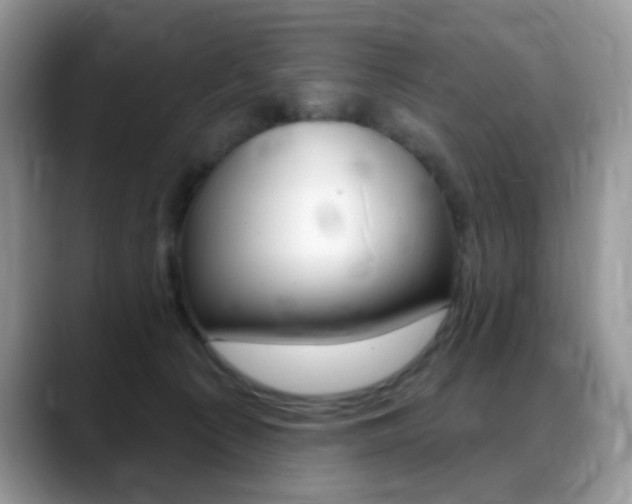 X0000088900225200706080833