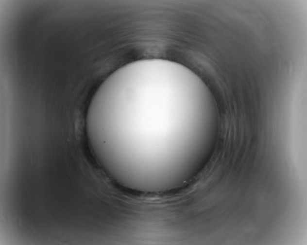 X0000088900228200706080833