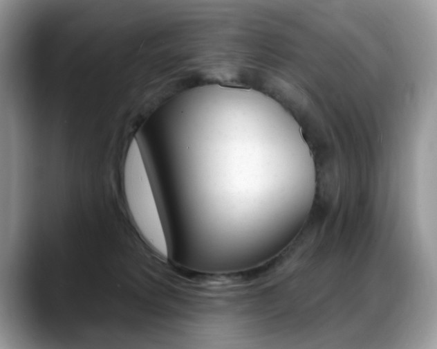 X0000088900229200706080833