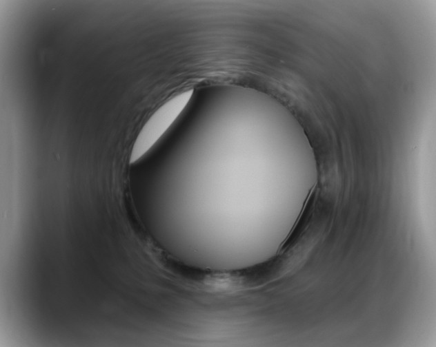 X0000088900231200706080833