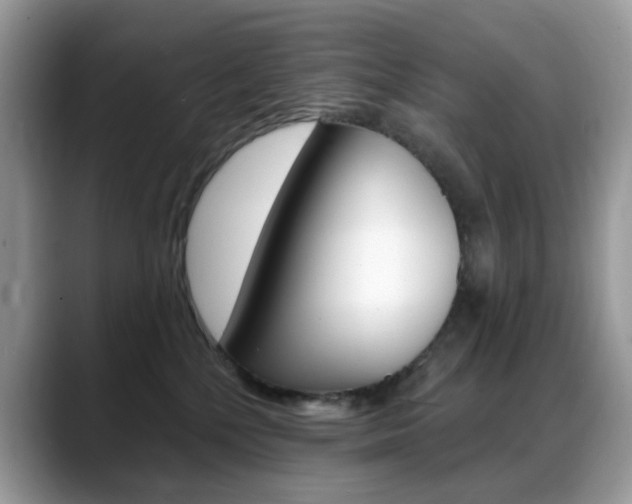 X0000088900232200706080833