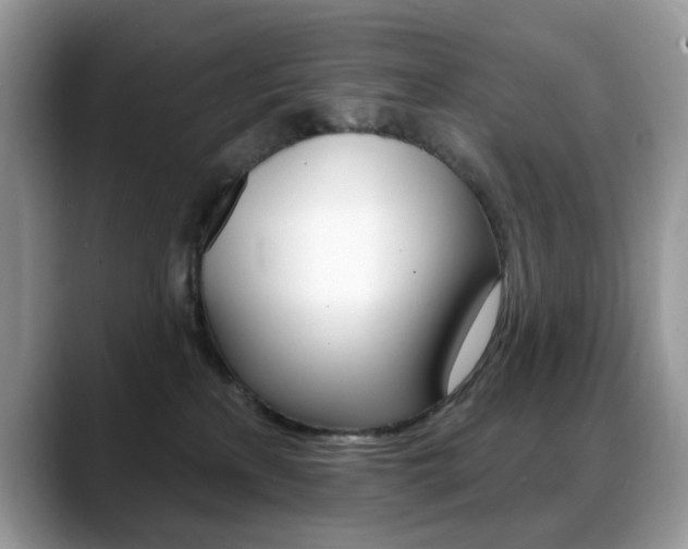 X0000088900233200706080833