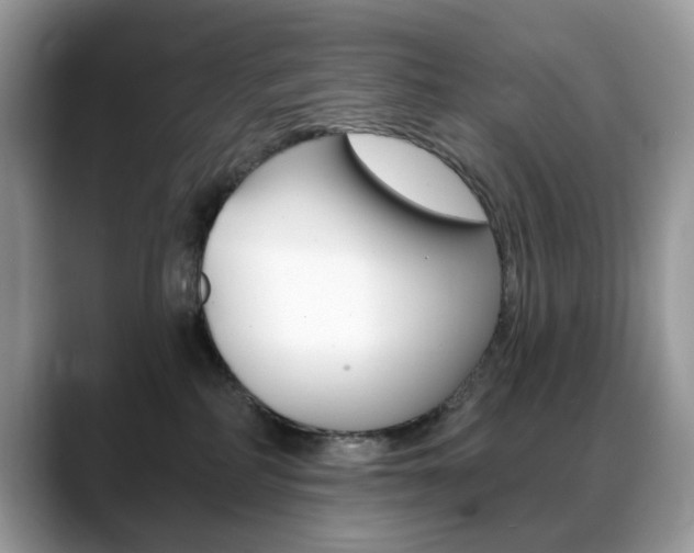 X0000088900234200706080833