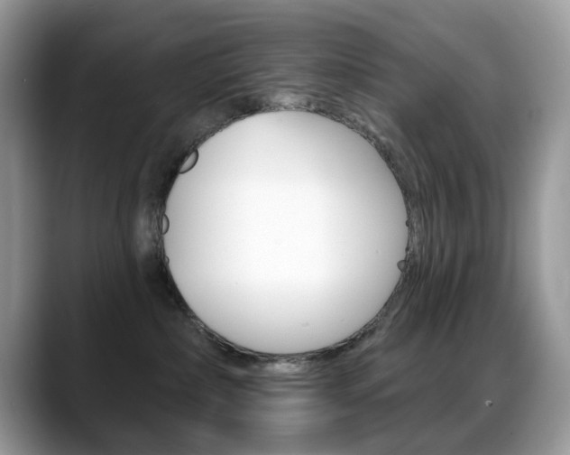 X0000088900236200706080833