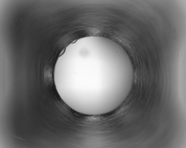 X0000088900238200706080833