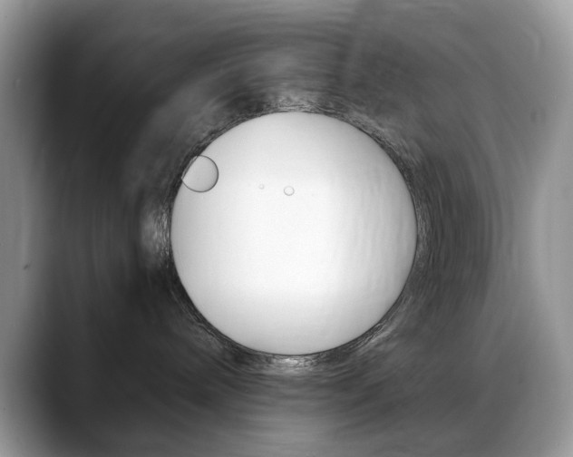 X0000088900240200706080833