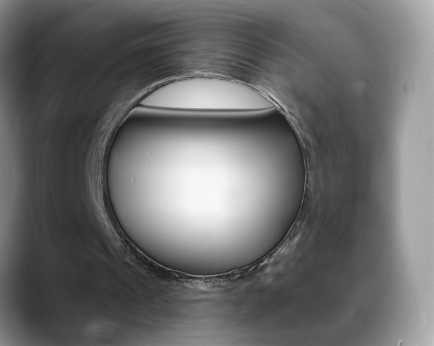 X0000088900241200706080832