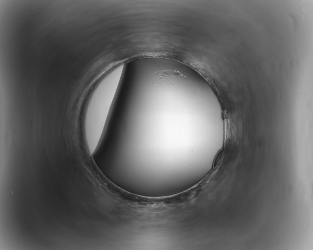 X0000088900243200706080832