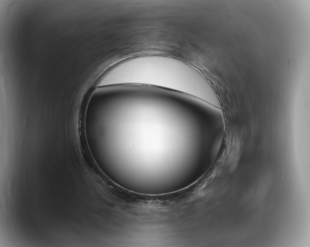X0000088900244200706080832