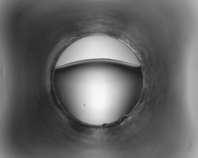 X0000088900245200706080832