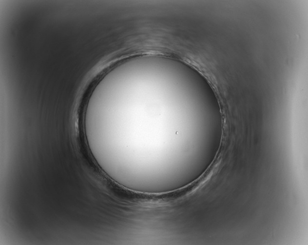 X0000088900246200706080832