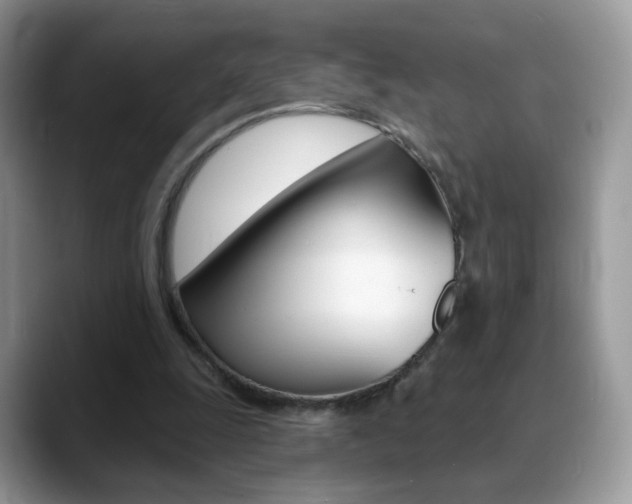 X0000088900247200706080832