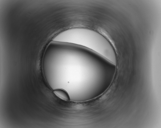 X0000088900249200706080832