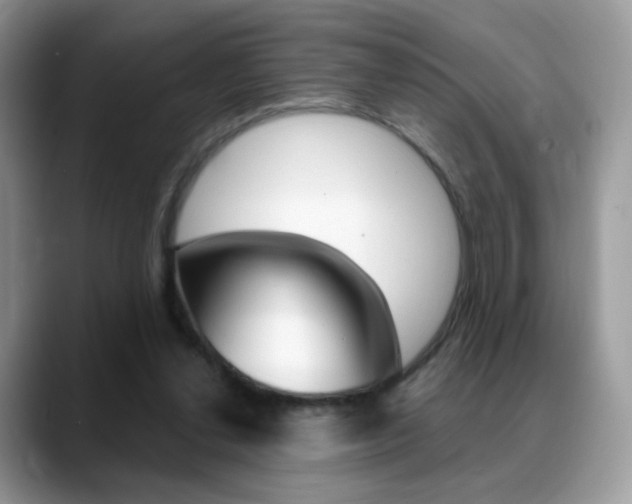 X0000088900252200706080832