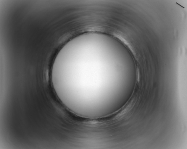 X0000088900253200706080832