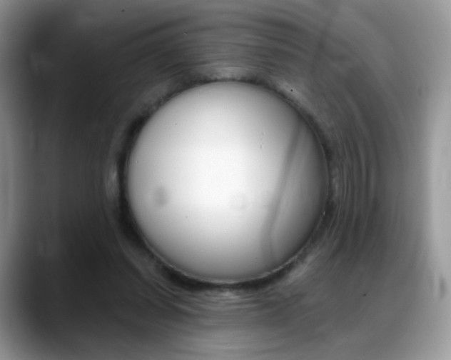 X0000088900254200706080832