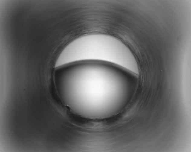 X0000088900260200706080832