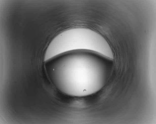 X0000088900263200706080832