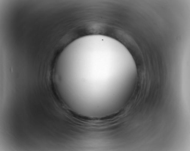 X0000088900266200706080832