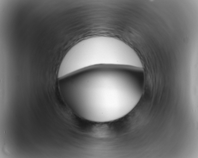 X0000088900271200706080832