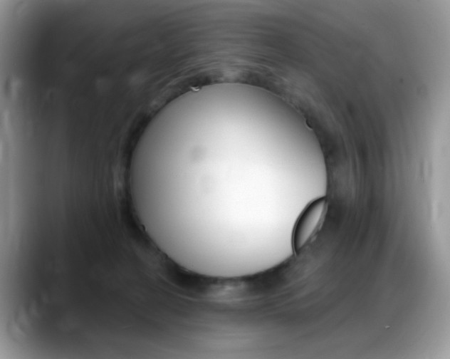 X0000088900274200706080832