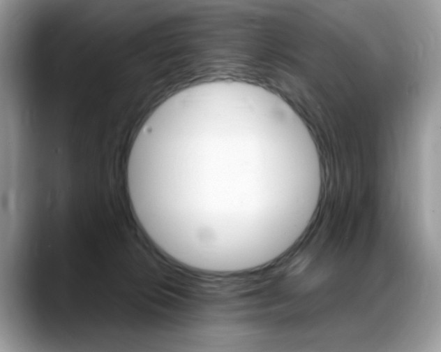 X0000088900276200706080832