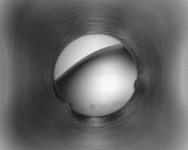 X0000088900277200706080832