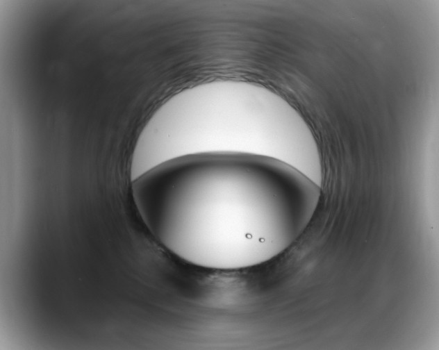 X0000088900280200706080833