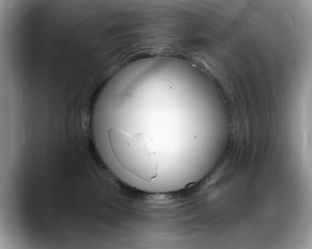 X0000088900281200706080833