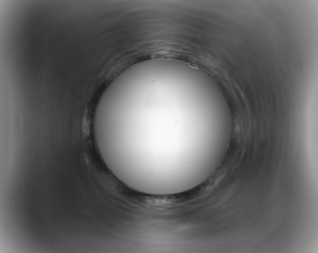 X0000088900282200706080833