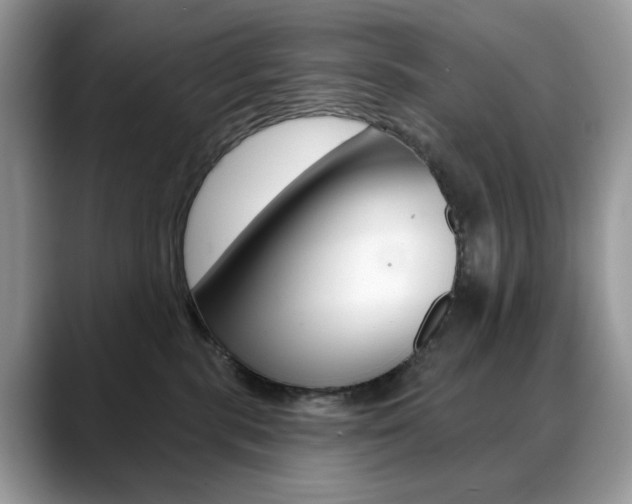 X0000088900283200706080833