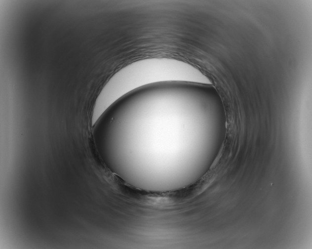 X0000088900284200706080833