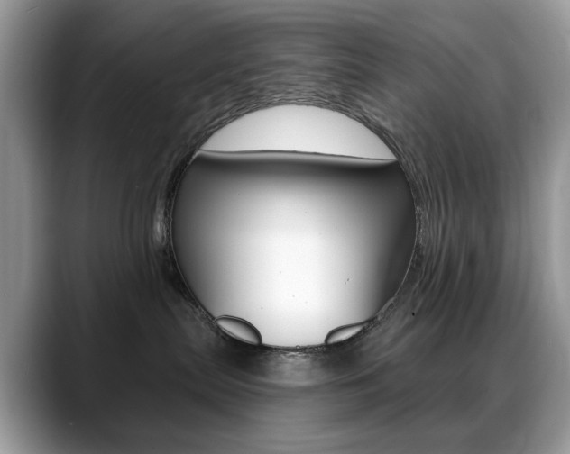 X0000088900287200706080833
